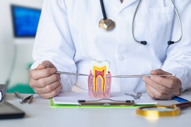 Best Dentist for Tooth Abscess  in Princeton, FL